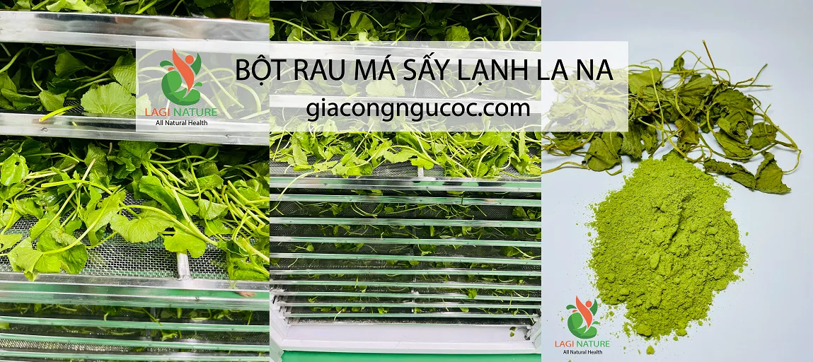Gia công bột rau củ